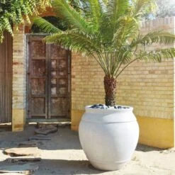 Belly White Stone Outdoor Planter XXL -Home Furnishings Store CB2SU22 23A v1 RET