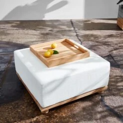 Giacomo Teak Decorative Tray -Home Furnishings Store CB2SU23 RC PR 002 1