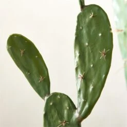 Faux Potted Cactus Plant 4'9'' -Home Furnishings Store FauxPottedCactus4p9inAVSHS23
