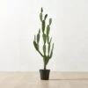 Faux Potted Cactus Plant 4'9'' -Home Furnishings Store FauxPottedCactus4p9inSHS23