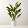 Faux Potted Iron Leaf Plant 35" -Home Furnishings Store FauxPottedIronLeaf37inSHS23