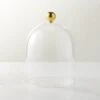 Glass Cloche With Unlacquered Brass Knob -Home Furnishings Store GlassClocheSHS23