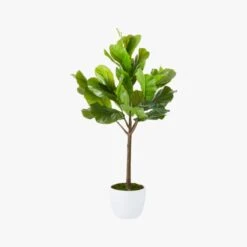Potted Faux Fiddle Leaf Fig 5' -Home Furnishings Store PottedFiddleLeafFigF17