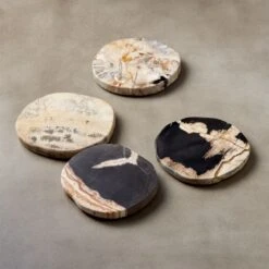 Ring Petrified Wood Coasters Set Of 4