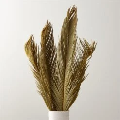 Sago Dried Palm Leaf Bunch 27"-34"