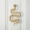 Polished Brass Snake Door Knocker -Home Furnishings Store SnakeBrassDoorKnockerSHS23